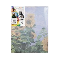 Canvas, Paint by Number, 40x50cm